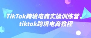 TikTok跨境电商实操训练营，tiktok跨境电商教程-康仁安资源