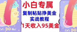 复制粘贴挣美金，0门槛，1天收入95美刀，3分钟学会，内部教程(首次公开)-康仁安资源