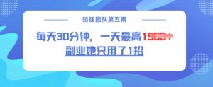 副业她只用了1招，每天30分钟，无脑二创，一天最高1.5k-康仁安资源