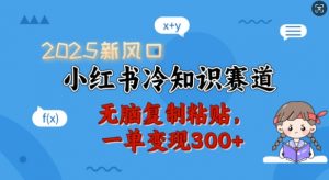 2025新风口，小红书冷知识赛道，无脑复制粘贴，一单变现300+-康仁安资源