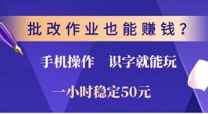 批改作业也能赚钱？0门槛手机项目，识字就能玩！一小时稳定50元！-康仁安资源