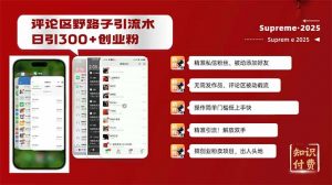 评论区野路子截流创业粉新方法，日被动加300+创业粉，精准引流被动添加...-康仁安资源