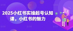 2025小红书实操起号认知课，小红书的魅力-康仁安资源