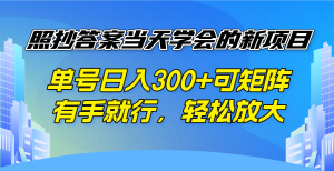 照抄答案当天学会的新项目，单号日入300 +可矩阵，有手就行，轻松放大-康仁安资源