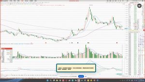 大师兄·鹿鼎山系列内部课程(更新2025年1月)-康仁安资源