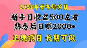 2025开年好项目，单号日收益2000左右-康仁安资源