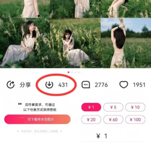 最新图虫搬运项目，收益无上限，利用AI小白也可日赚500+-康仁安资源