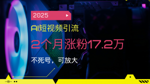2025AI短视频引流，2个月涨粉17.2万，不死号，可放大-康仁安资源
