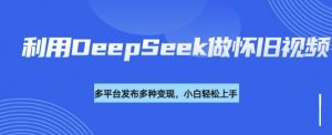 利用DeepSeek做怀旧视频，流量号多渠道变现能力强-康仁安资源