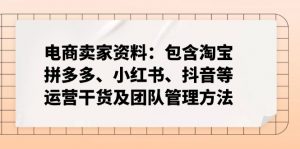 电商卖家资料：包含淘宝、拼多多、小红书、抖音等运营干货及团队管理方法-康仁安资源