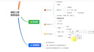 苏博士·淘宝精细化铺货运营陪跑(部分更新至2025)-康仁安资源