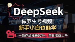 小白用DeepSeek做养生号，一条作品涨粉5万+，单日收益上千-康仁安资源