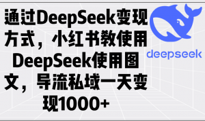 通过DeepSeek变现方式，小红书教使用DeepSeek图文，导流私域一天变现1000+-康仁安资源