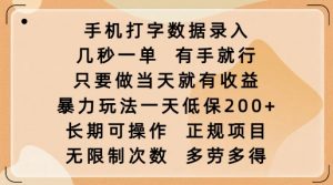 手机打字数据录入，几秒一单，有手就行，只要做当天就有收益，暴力玩法一天低保2张-康仁安资源