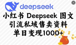 小红书Deepseek图文引流私域售卖资料，单日变现多张-康仁安资源