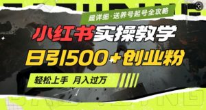 2月小红书最新日引500+创业粉实操教学【超详细】小白轻松上手，月入1W+，附小红书养号起号SOP-康仁安资源