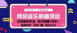 2025最新网易云躺赚项目 每天几分钟 轻松3万+-康仁安资源