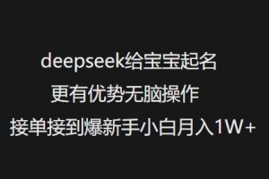 deepseek给宝宝起名更有优势无脑操作接单接到爆新手小白月入1W+-康仁安资源