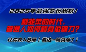 2025年最强变现思路，割韭菜的时代， 普通人如何翻身做镰刀？【揭秘】-康仁安资源