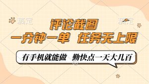 评论截图，一分钟一单，有手机就能做，任务无上限，轻松一天大几百-康仁安资源