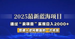 2025年蓝海项目，如何通过“网创项目”日入2000+-康仁安资源