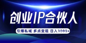 云帆·创业ip合伙人打造3.0，从0到1教你做网创，实现月入过W-康仁安资源