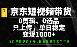 京东短视频带货，0剪辑，0选品，只上传，单日稳定变现1000+-康仁安资源