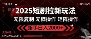 2025短剧拉新玩法，无需注册登录，无限0撸，无脑批量操作日入2000+-康仁安资源