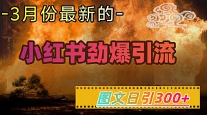 小红书超劲爆引流手段，图文日引300+轻松变现1W-康仁安资源