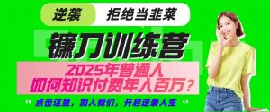 镰刀训练营超级IP合伙人，25年普通人如何通过“知识付费”实现逆袭-康仁安资源