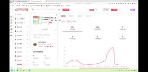 2025小红书虚拟电商实战课-康仁安资源