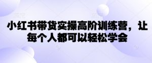 小红书带货实操高阶训练营，让每个人都可以轻松学会-康仁安资源