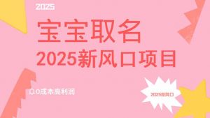 2025新风口项目宝宝取名，0成本高利润，附保姆级教程，月入过万不是梦-康仁安资源