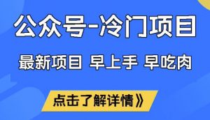 公众号冷门赛道，早上手早吃肉，单月轻松稳定变现1W【揭秘】-康仁安资源