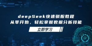 deepSeek快速驯服教程，从零开始，轻松掌握数据分析技能-康仁安资源
