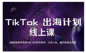 TikTok跨境电商新手起号与运营全攻略，0基础做跨境电商TIKTOK新手起号，小店入驻，操作指南全流程-康仁安资源