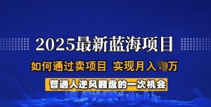 2025蓝海项目，普通人如何通过卖项目，实现月入过W，全过程【揭秘】-康仁安资源