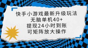 快手小游戏最新版升级玩法，新风口，无脑单机日入40+，可批量放大，小...-康仁安资源