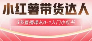 小红薯达人带货启航计划，3节直播课从0-1入门小红书-康仁安资源