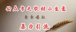deepseek写农村小项目，条条爆款，暴力引流-康仁安资源