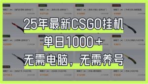 25年最新CSGO挂机系统，单日1000+，无需电脑，无需养号，0基础可上手-康仁安资源