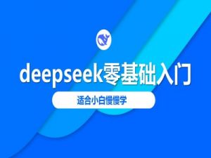 deepseek零基础入门-deepseek教程2025，适合小白慢慢学-康仁安资源