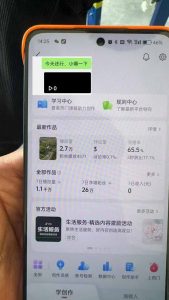 抖音暴力涨粉技术：一天轻松1-10万粉，技术不确定真实性，自测-康仁安资源