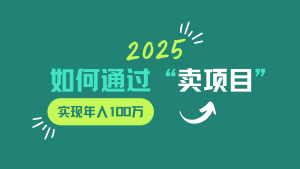 2025年如何通过“卖项目”实现年入100w-康仁安资源