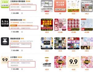 0成本虚拟项目实战手把手教你落地，单店月入5k-康仁安资源