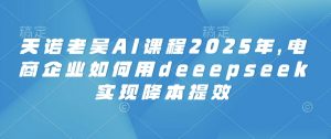 天诺老吴AI课程2025年，电商企业如何用deeepseek实现降本提效-康仁安资源