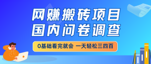 网赚搬砖项目，国内问卷调查，0基础看完就会 一天轻松三四百，靠谱副业...-康仁安资源