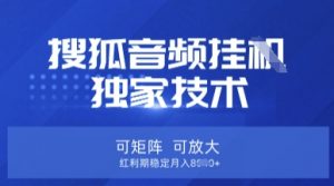 【搜狐音频挂G】独家技术，可矩阵可放大，红利期稳定月入8k【揭秘】-康仁安资源