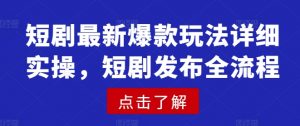 短剧最新爆款玩法详细实操，短剧发布全流程-康仁安资源