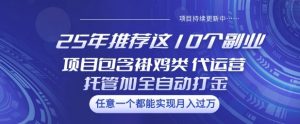 25年推荐这10个副业项目包含褂鸡类、代运营托管类、全自动打金类【揭秘】-康仁安资源